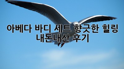 아베다 바디 세트: 향긋한 힐링, 내돈내산 후기