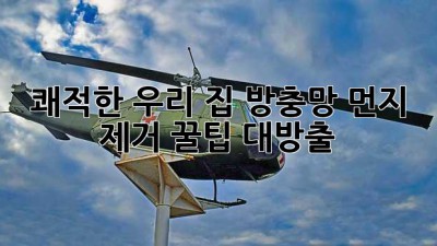 🏡 쾌적한 우리 집, 방충망 먼지 제거 꿀팁 대방출! ✨